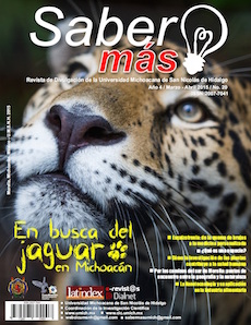 Índice de Revistas Mexicanas de Divulgación Científica y Tecnológica –  Conacyt